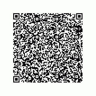 vCard 79833249715