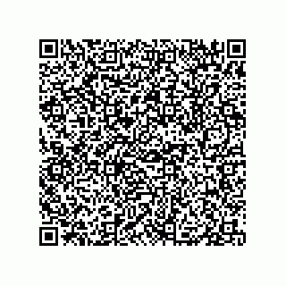 vCard 79833249729