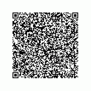 vCard 79833249731