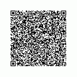 vCard 79833249738