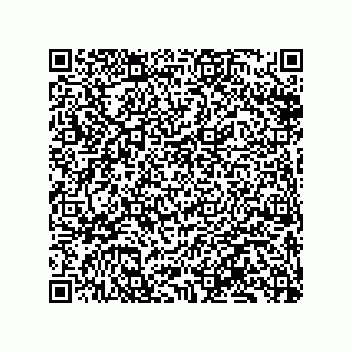 vCard 79833249800