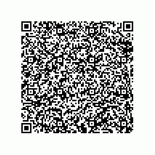vCard 79833249801