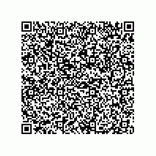 vCard 79833249808