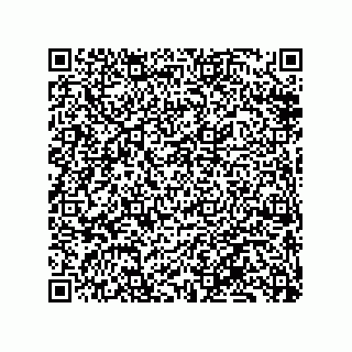 vCard 79833249820