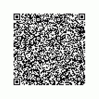 vCard 79833249839