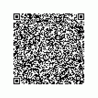 vCard 79833249873