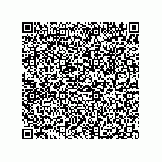 vCard 79833249880
