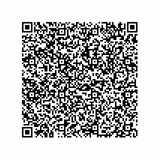 vCard 79833249903
