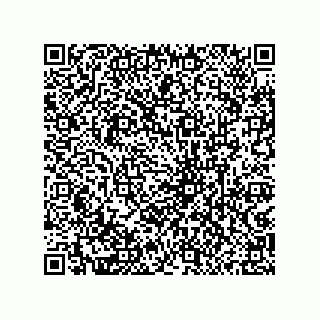 vCard 79833249915