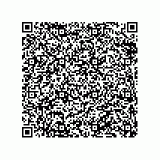 vCard 79833249951