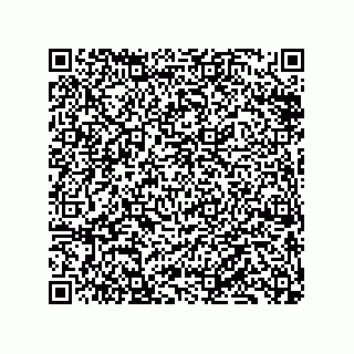 vCard 79833249973
