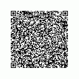vCard 79833249978