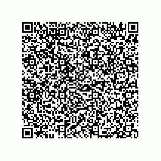 vCard 79833249980