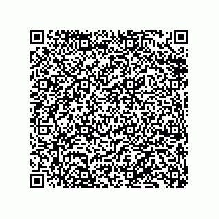 vCard 79833249981