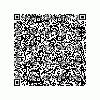 vCard 79833249984