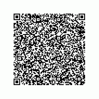 vCard 79833249987