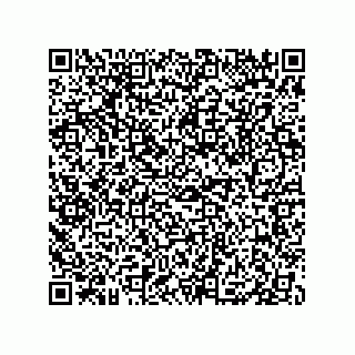 vCard 79833249996