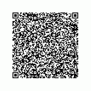 vCard 79833249998