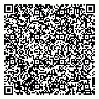 vCard 79833300000