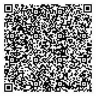 vCard 79833300011
