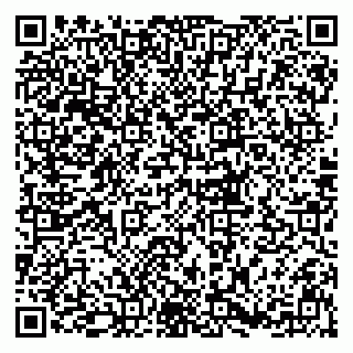 vCard 79833300120
