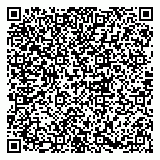 vCard 79833300128