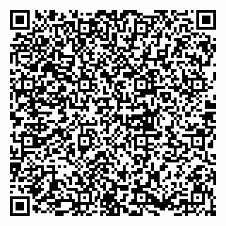 vCard 79833300131