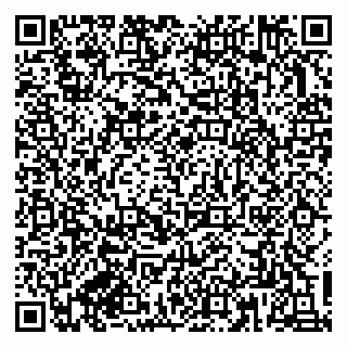 vCard 79833300133