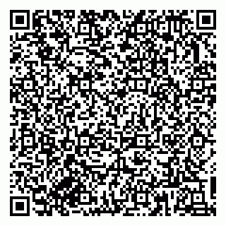 vCard 79833300138