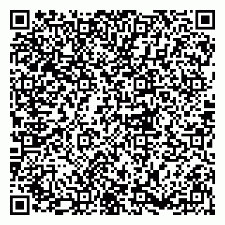 vCard 79833300139