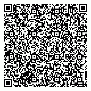 vCard 79833300153