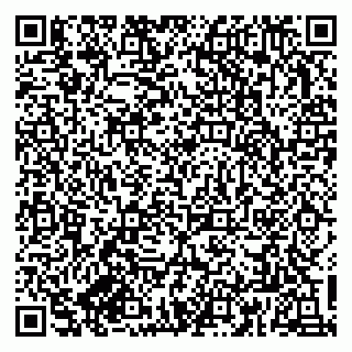 vCard 79833300155