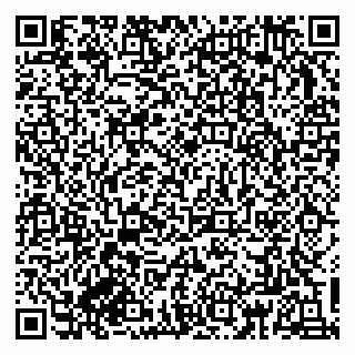 vCard 79833300161