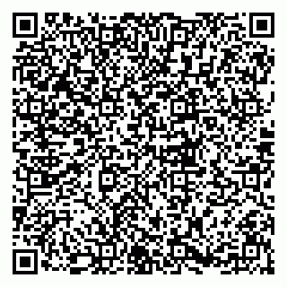 vCard 79833300174