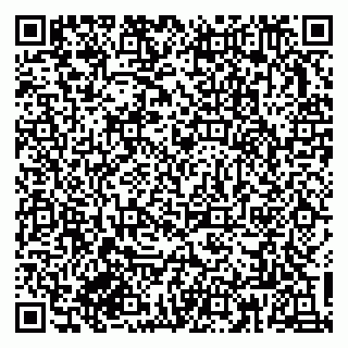 vCard 79833300175