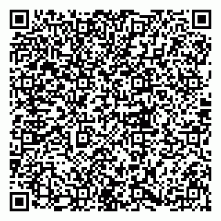 vCard 79833300183