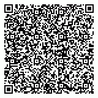 vCard 79833300204