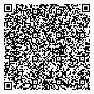 vCard 79833300209