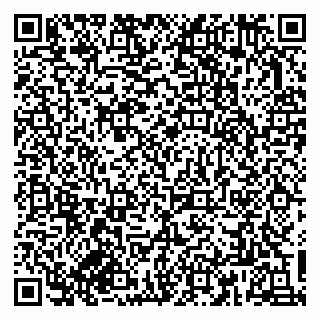 vCard 79833300211