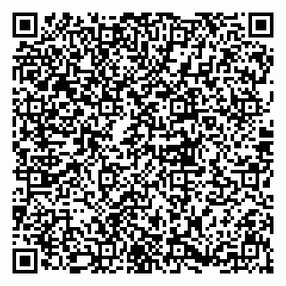 vCard 79833300218