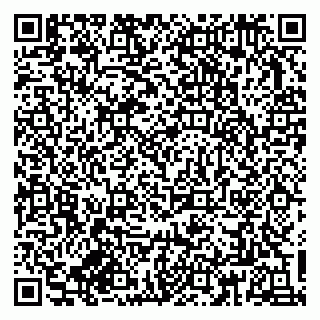 vCard 79833300229