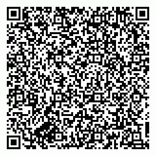 vCard 79833300241