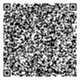 vCard 79833300249