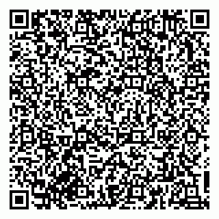 vCard 79833300251