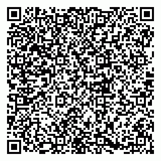 vCard 79833300267