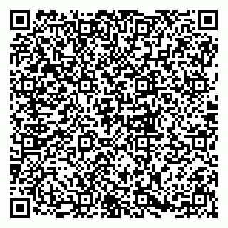 vCard 79833300268