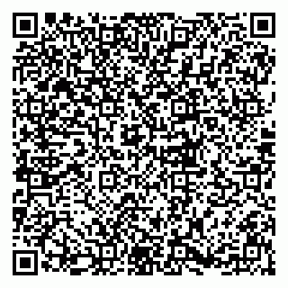 vCard 79833300271