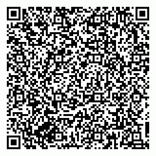 vCard 79833300275