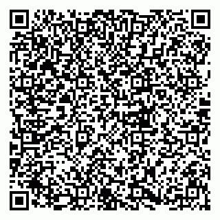 vCard 79833300281