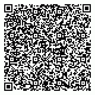 vCard 79833300299